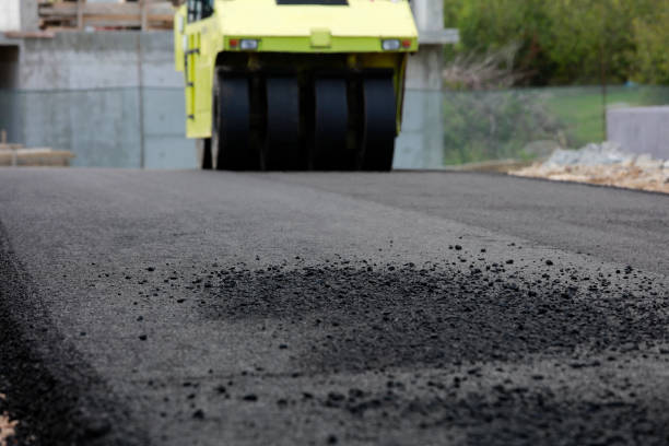 Best Local Driveway Pavers  in Magnolia, AR