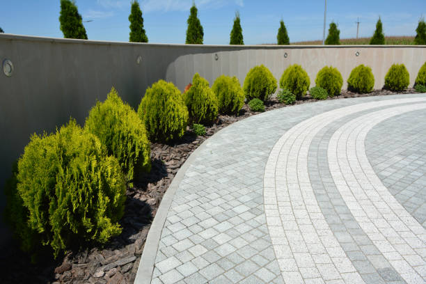 Best Decorative Driveway Pavers  in Magnolia, AR
